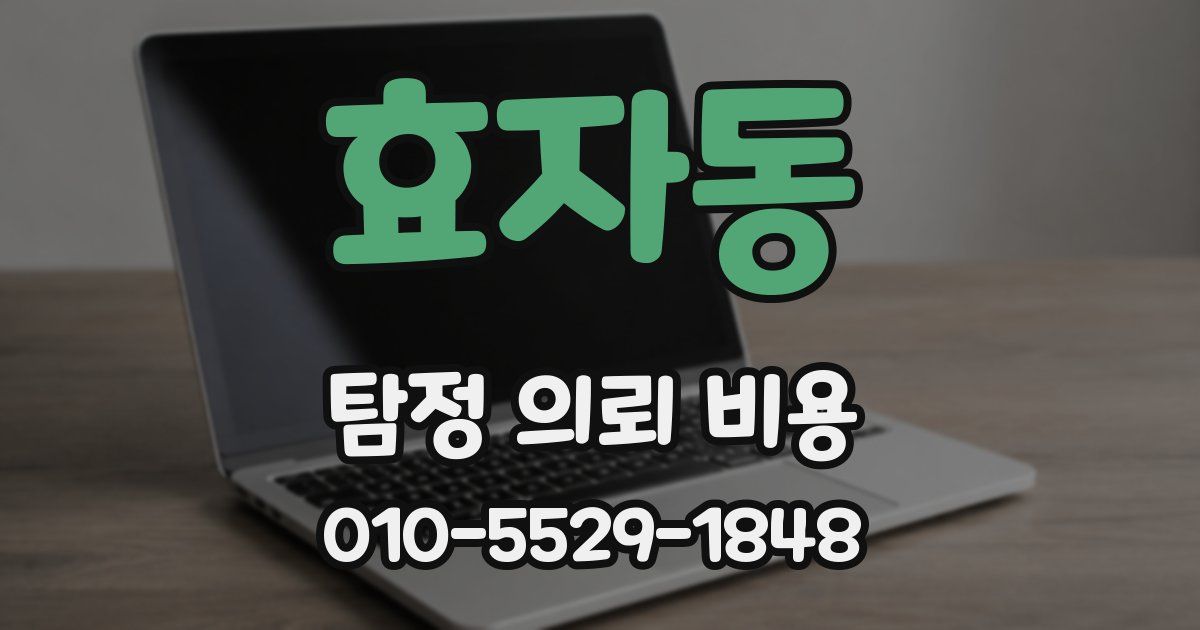 효자동 탐정 의뢰 비용