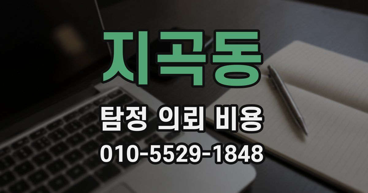 지곡동 탐정 의뢰 비용