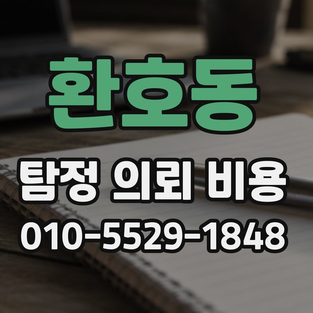 환호동 탐정 의뢰 비용