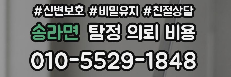 송라면 탐정 의뢰 비용
