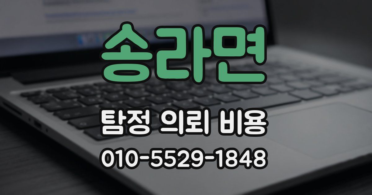 송라면 탐정 의뢰 비용