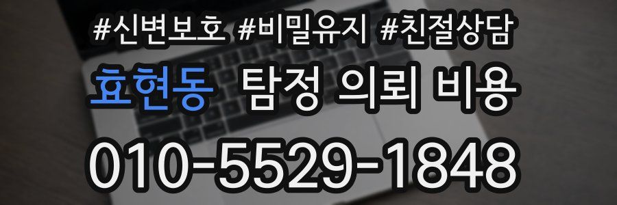 효현동 탐정 의뢰 비용