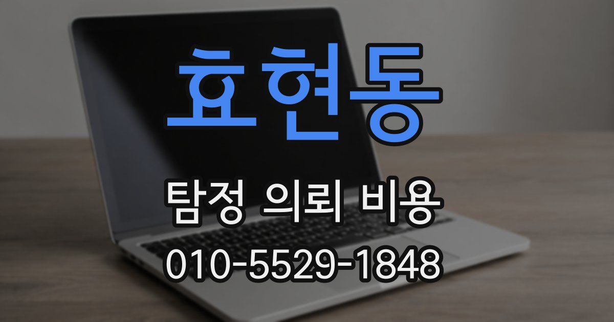 효현동 탐정 의뢰 비용