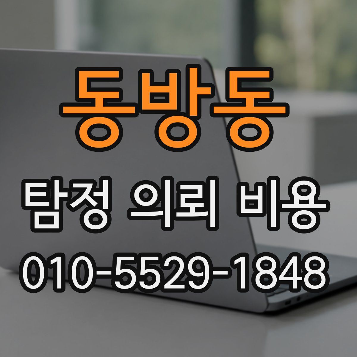 동방동 탐정 의뢰 비용