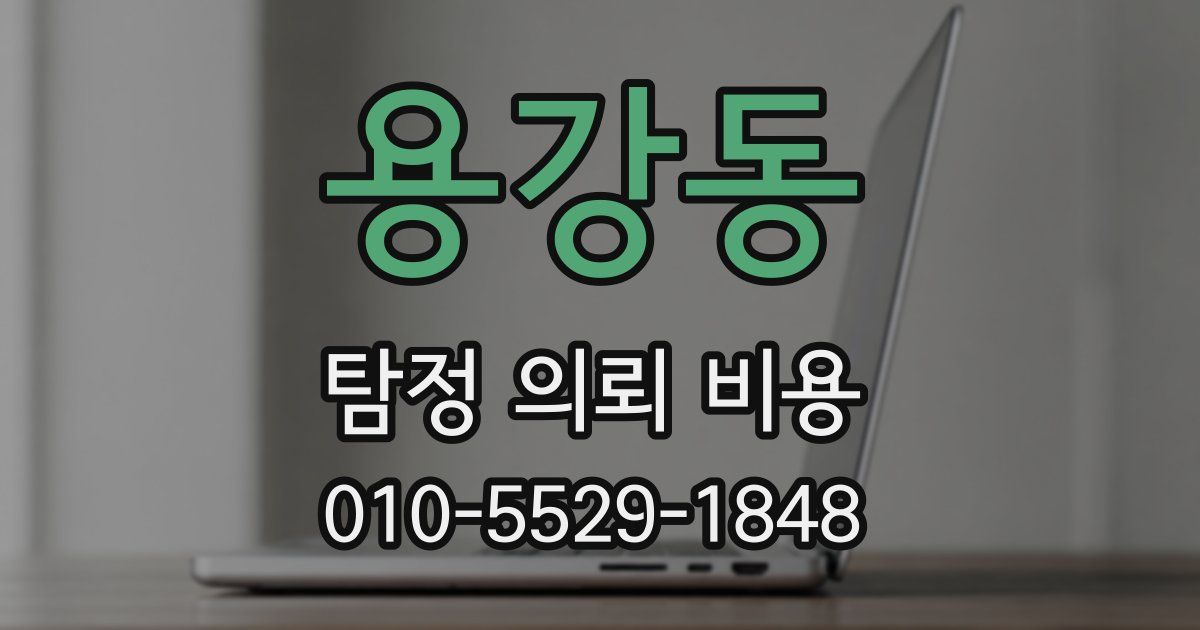 용강동 탐정 의뢰 비용