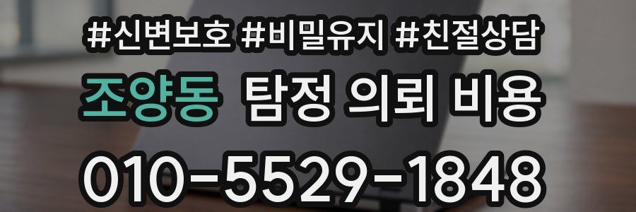 조양동 탐정 의뢰 비용