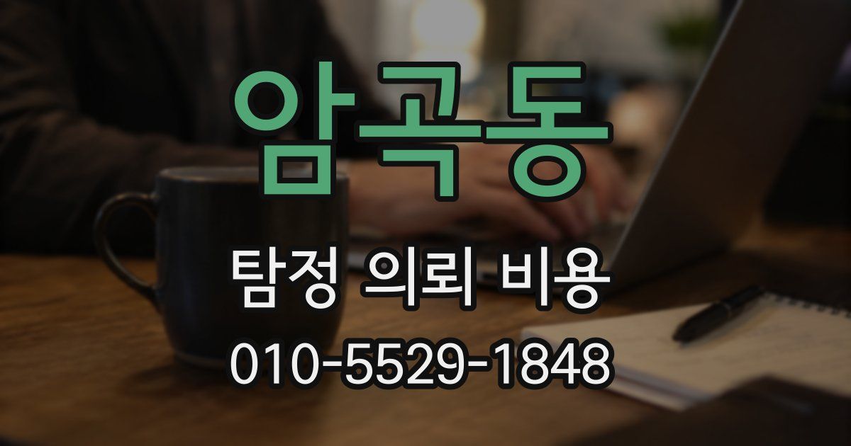 암곡동 탐정 의뢰 비용