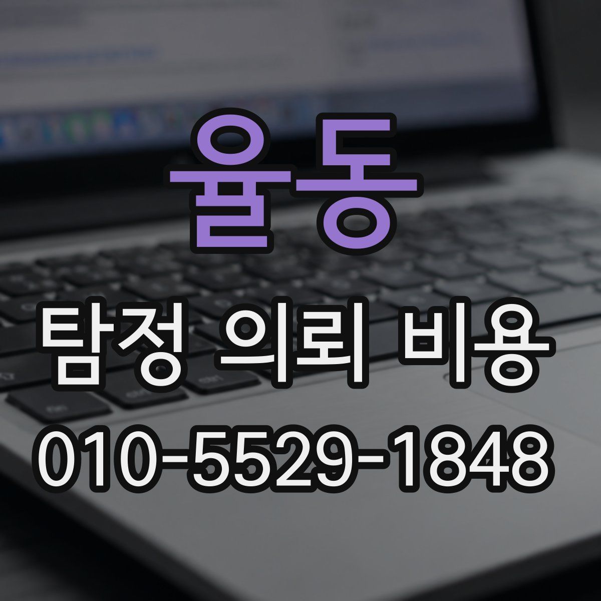 율동 탐정 의뢰 비용