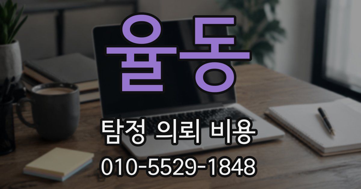 율동 탐정 의뢰 비용