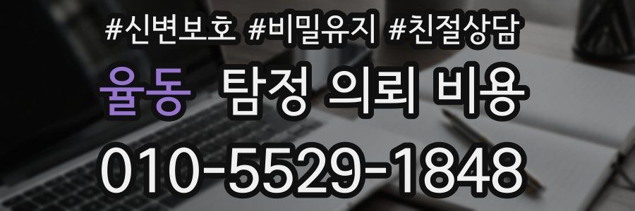 율동 탐정 의뢰 비용