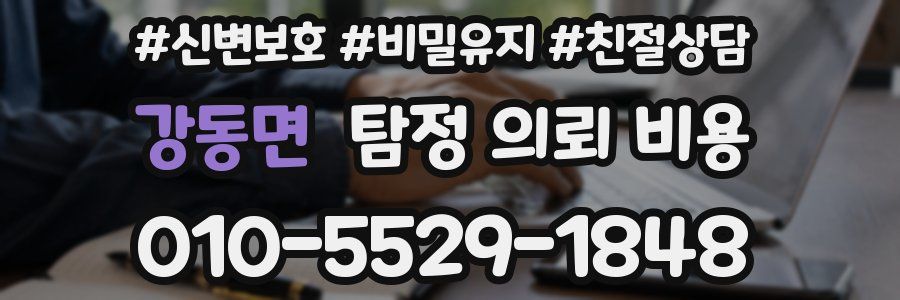 강동면 탐정 의뢰 비용