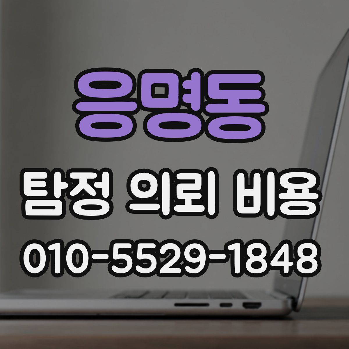 응명동 탐정 의뢰 비용