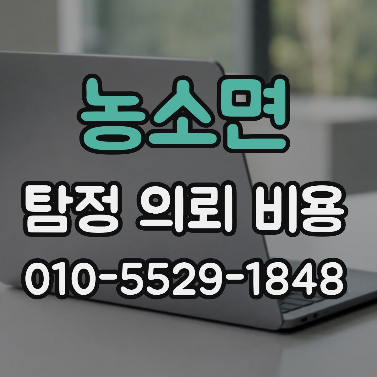 농소면 탐정 의뢰 비용