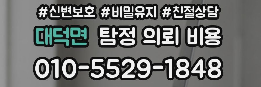 대덕면 탐정 의뢰 비용