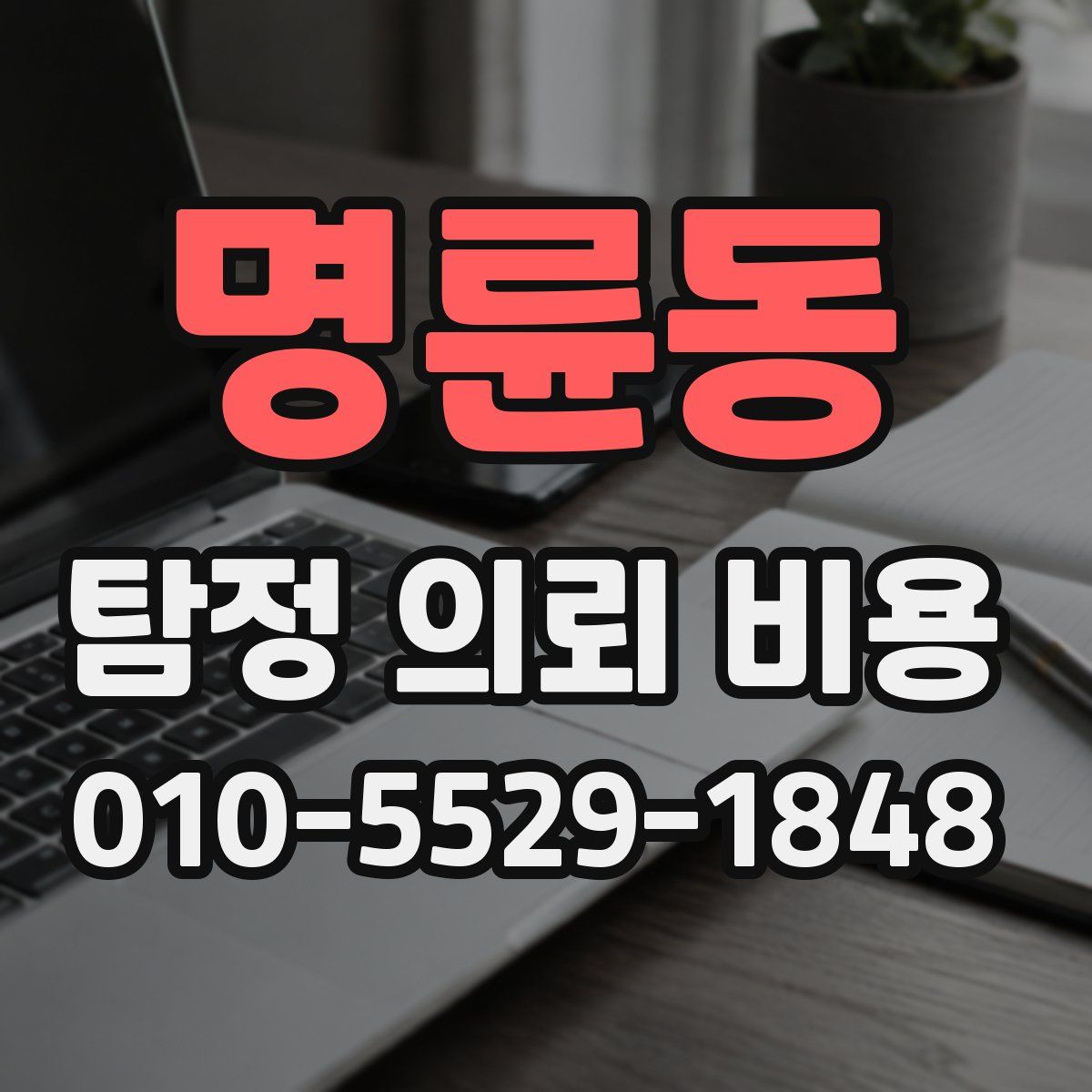 명륜동 탐정 의뢰 비용