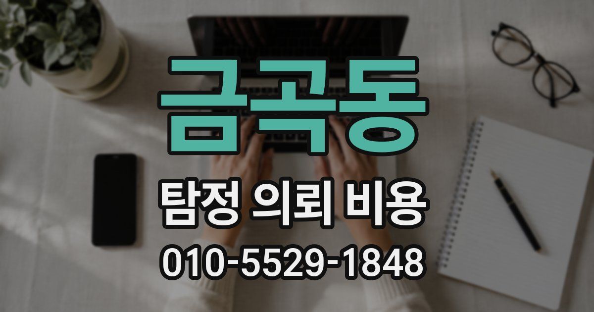 금곡동 탐정 의뢰 비용