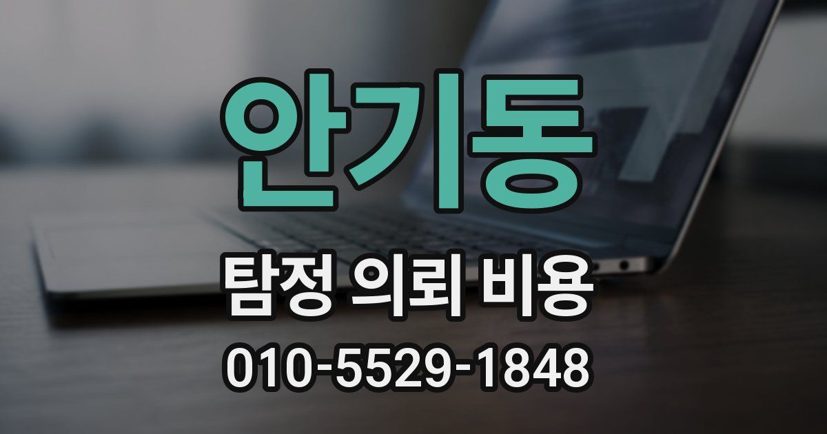 안기동 탐정 의뢰 비용