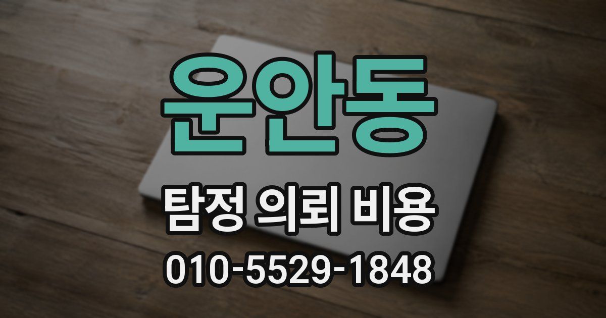 운안동 탐정 의뢰 비용