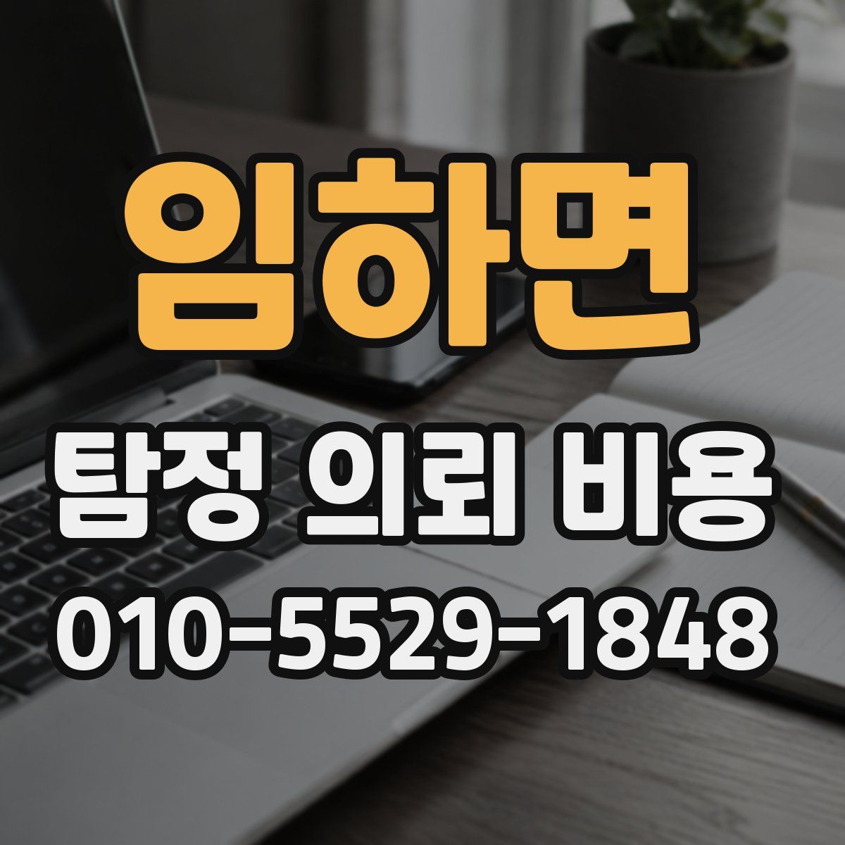 임하면 탐정 의뢰 비용