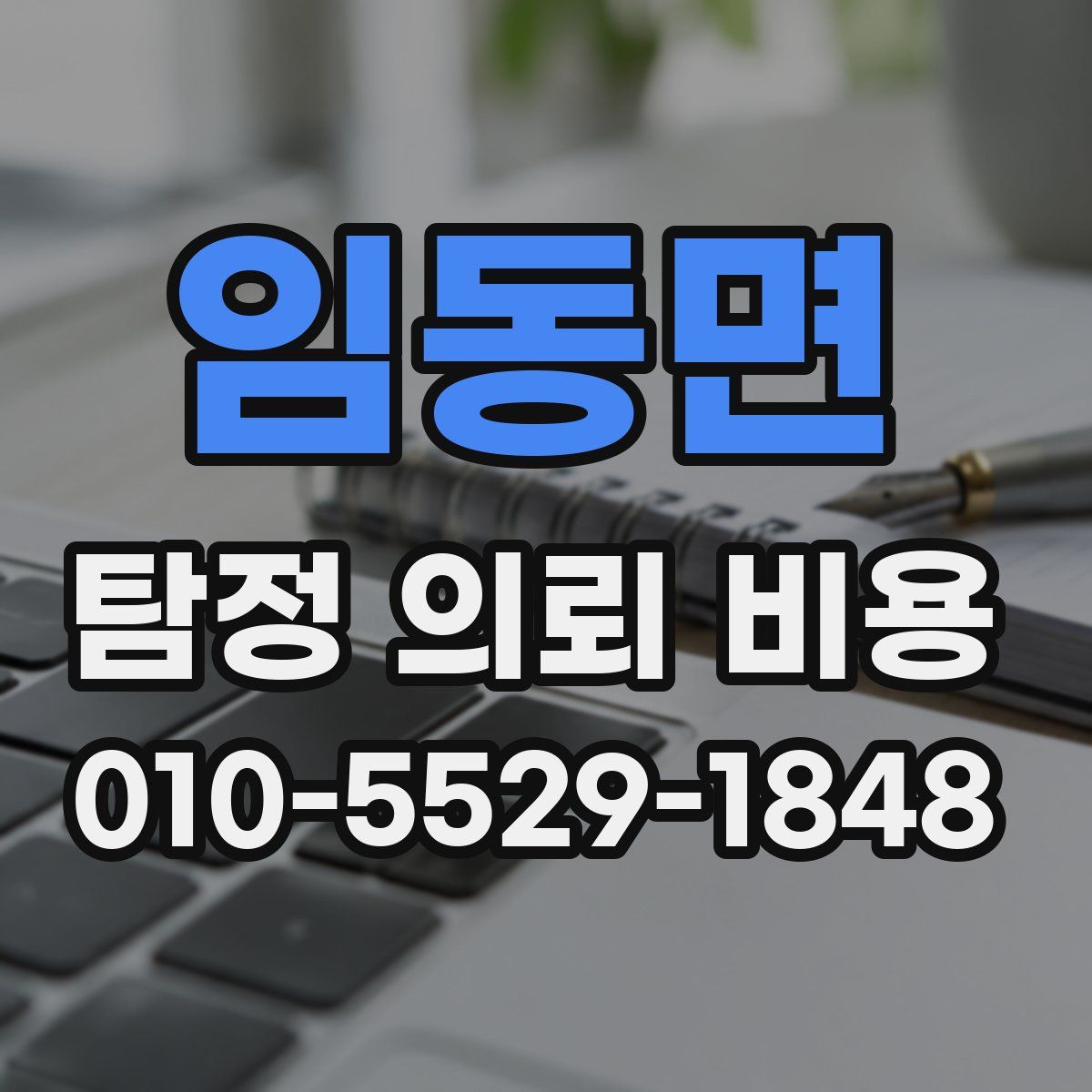 임동면 탐정 의뢰 비용