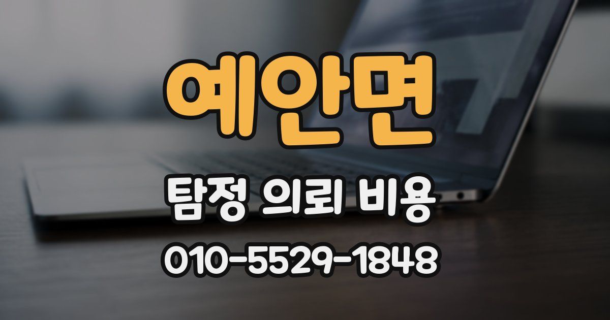예안면 탐정 의뢰 비용