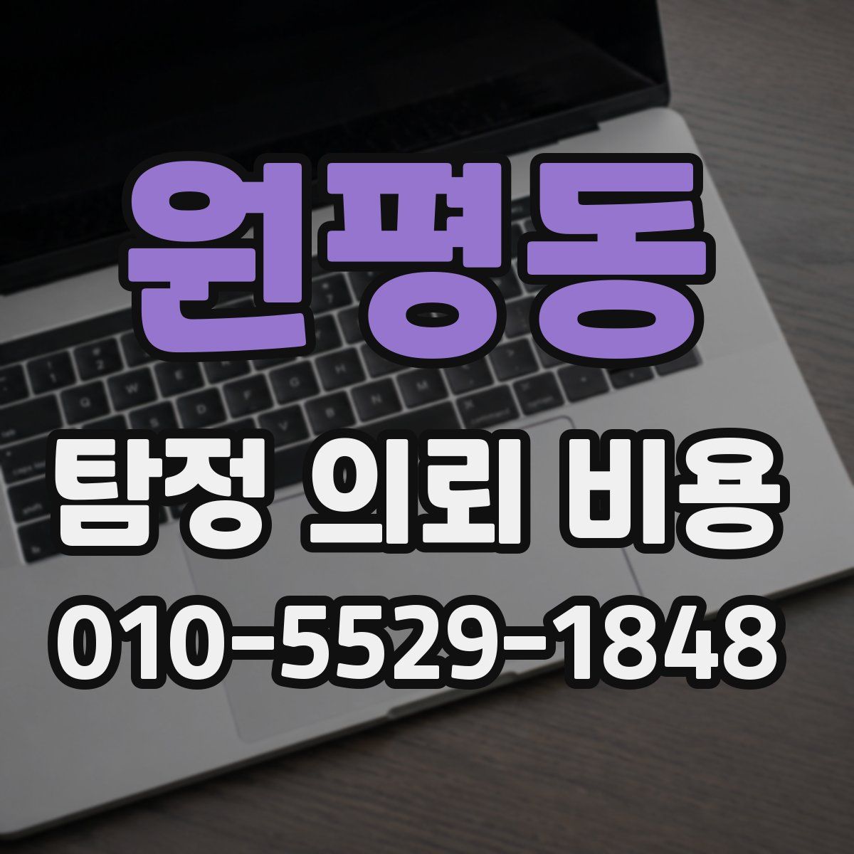 원평동 탐정 의뢰 비용