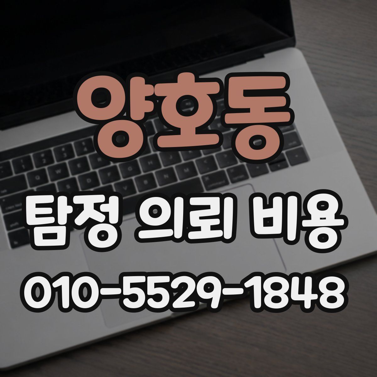 양호동 탐정 의뢰 비용