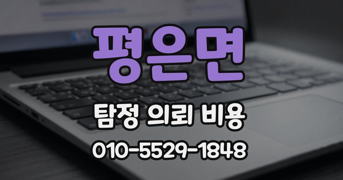 평은면 탐정 의뢰 비용