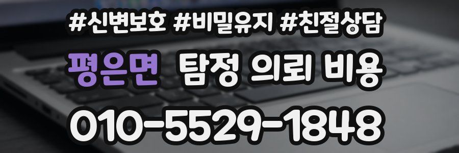 평은면 탐정 의뢰 비용