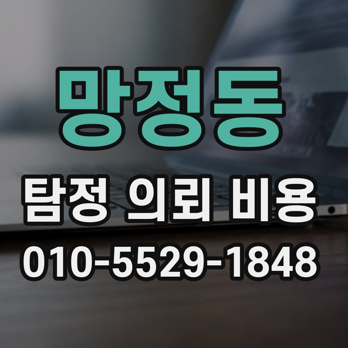 망정동 탐정 의뢰 비용