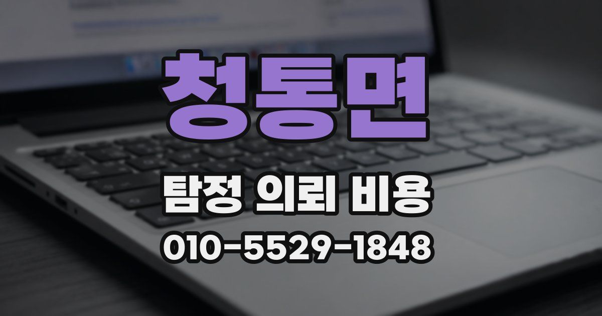 청통면 탐정 의뢰 비용