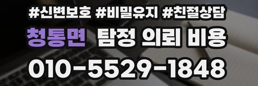 청통면 탐정 의뢰 비용