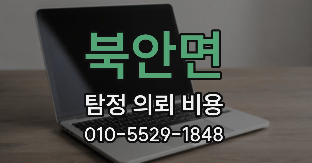북안면 탐정 의뢰 비용