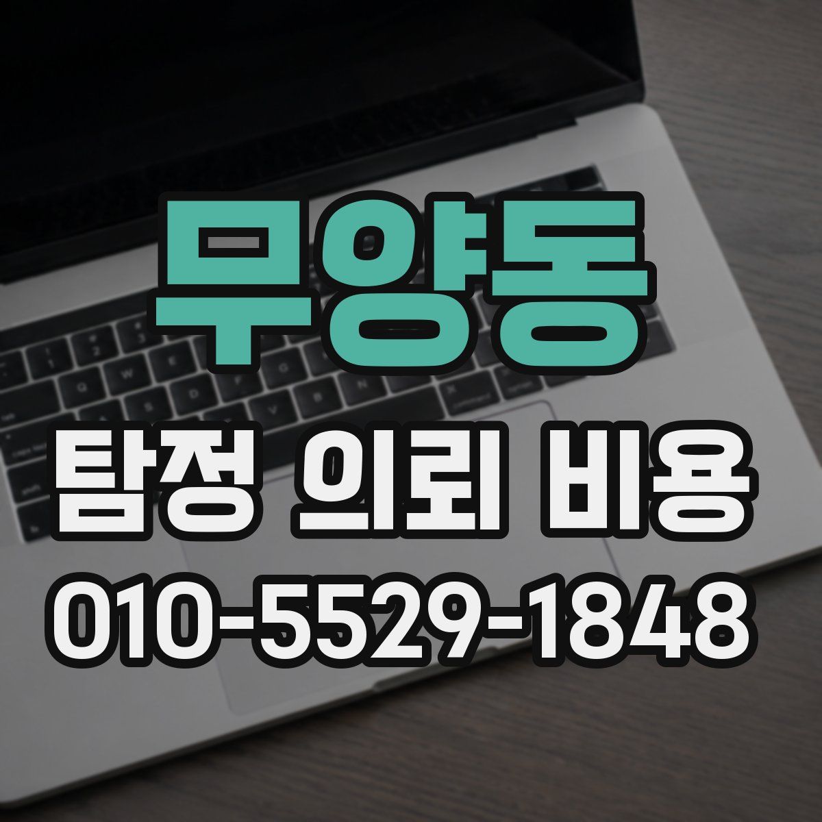 무양동 탐정 의뢰 비용