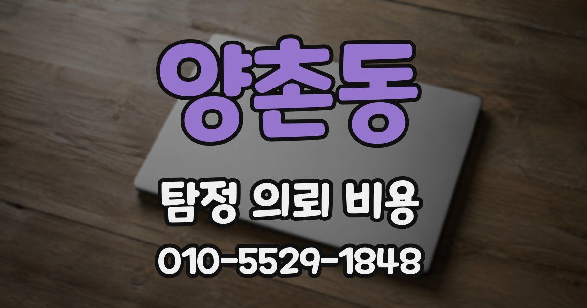 양촌동 탐정 의뢰 비용