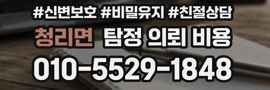 청리면 탐정 의뢰 비용