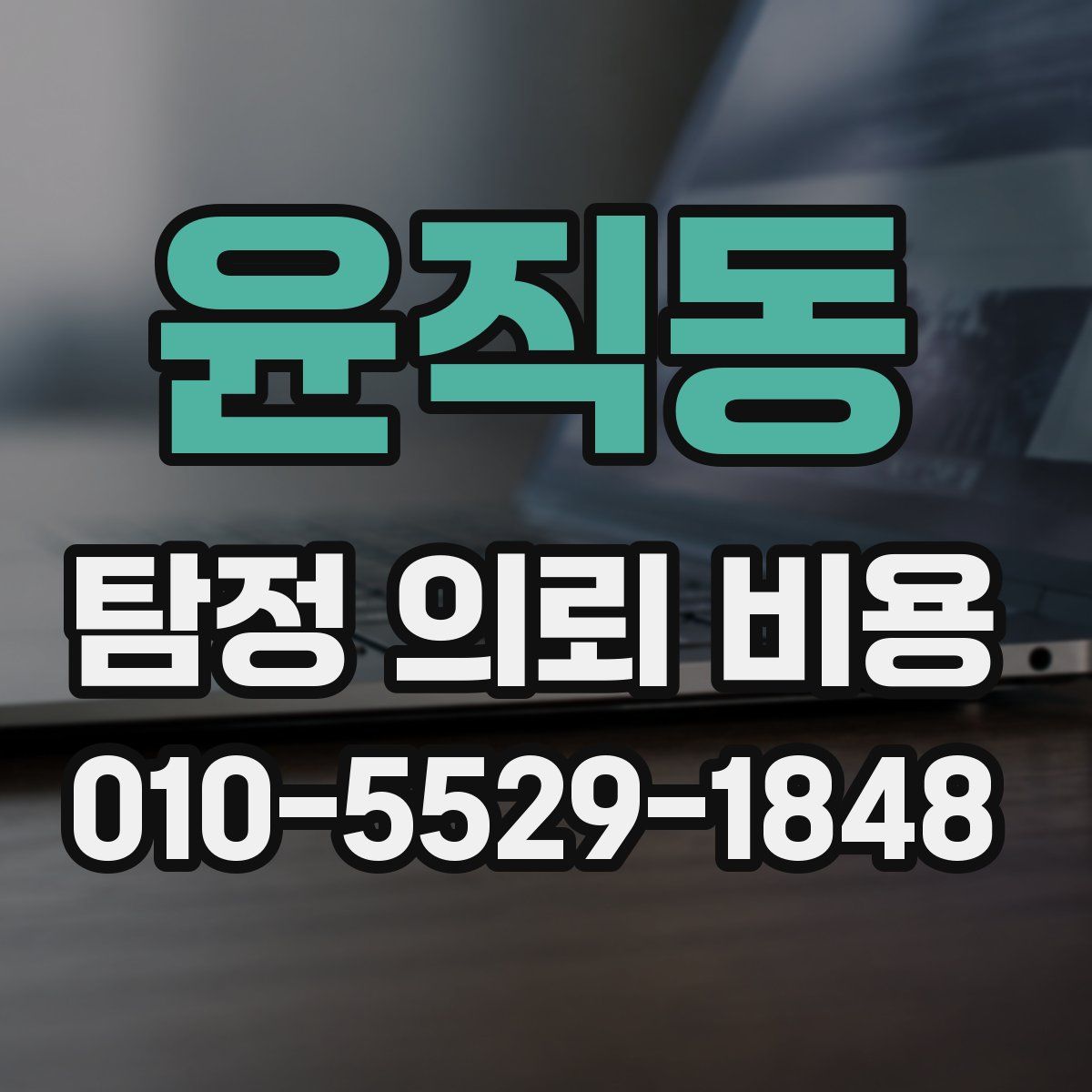 윤직동 탐정 의뢰 비용