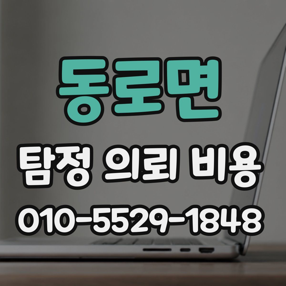 동로면 탐정 의뢰 비용