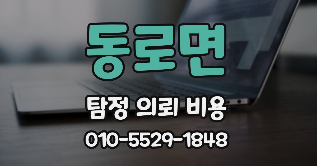동로면 탐정 의뢰 비용