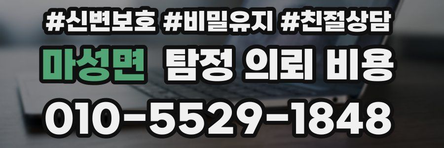 마성면 탐정 의뢰 비용