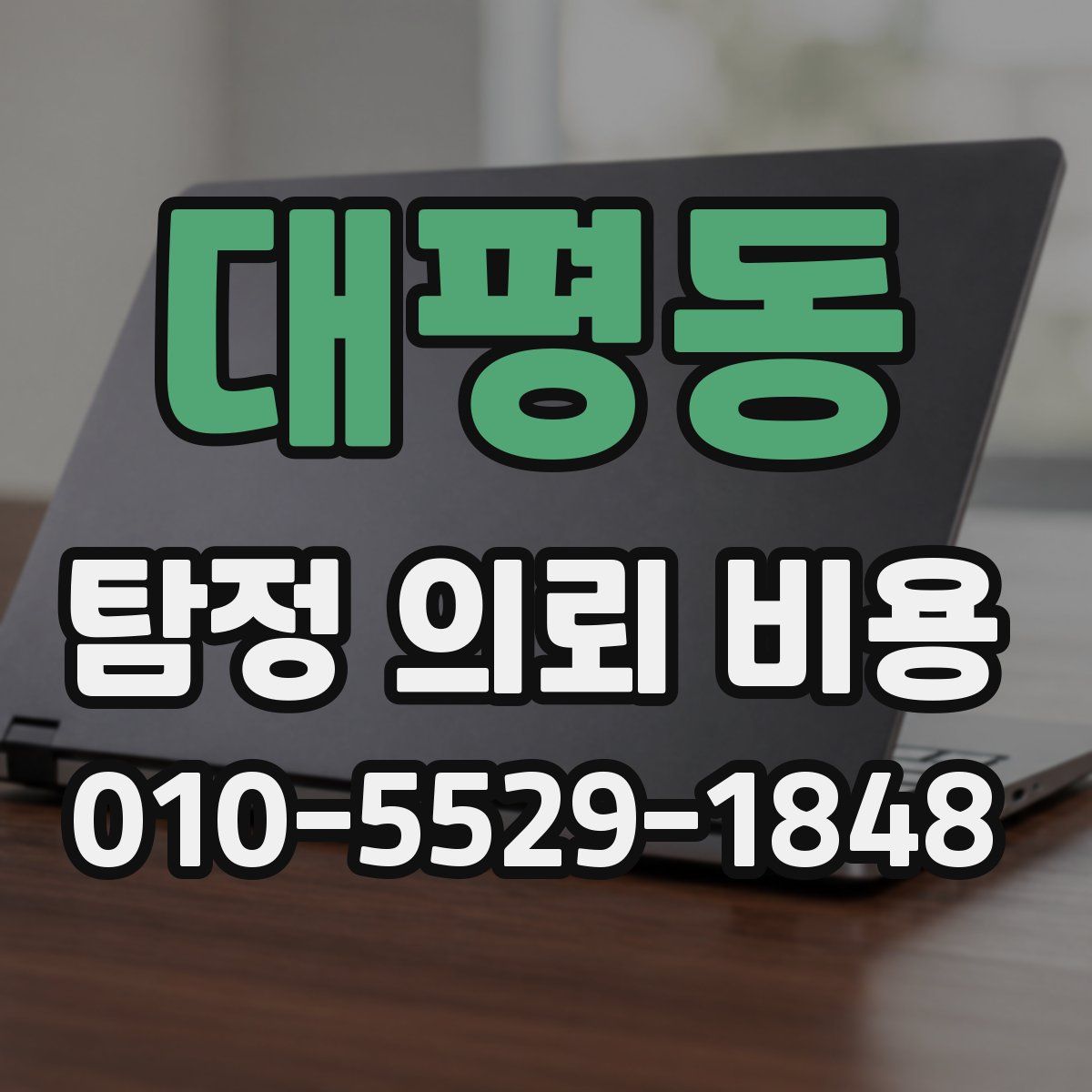 대평동 탐정 의뢰 비용