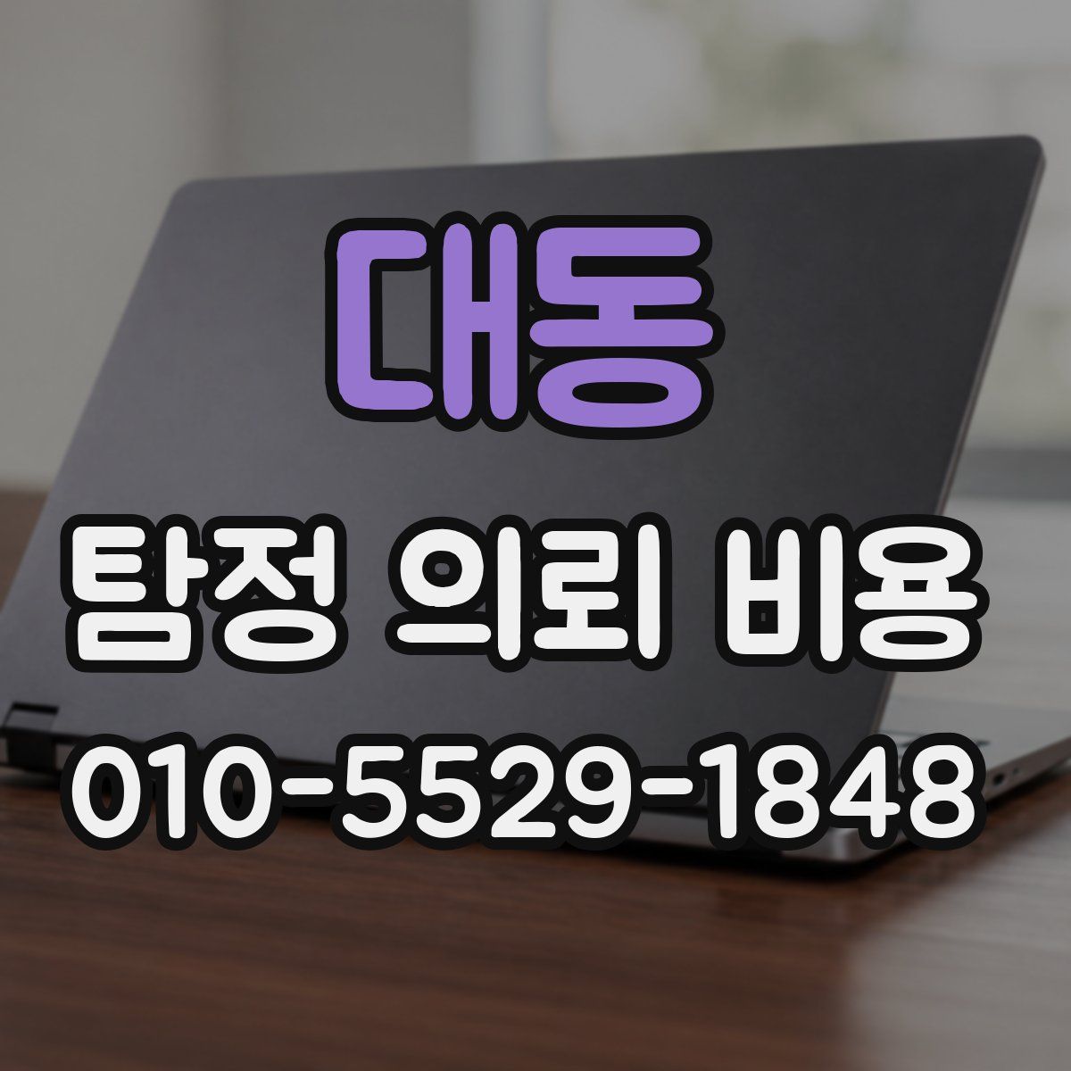 대동 탐정 의뢰 비용