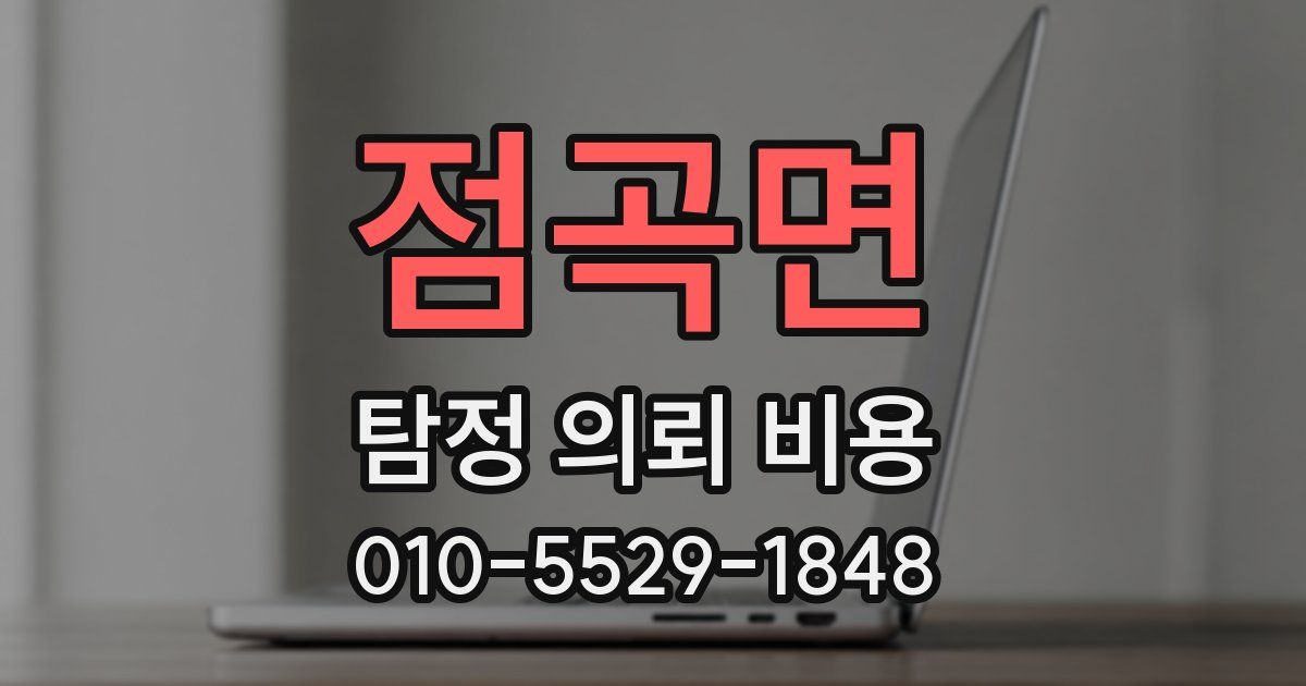 점곡면 탐정 의뢰 비용