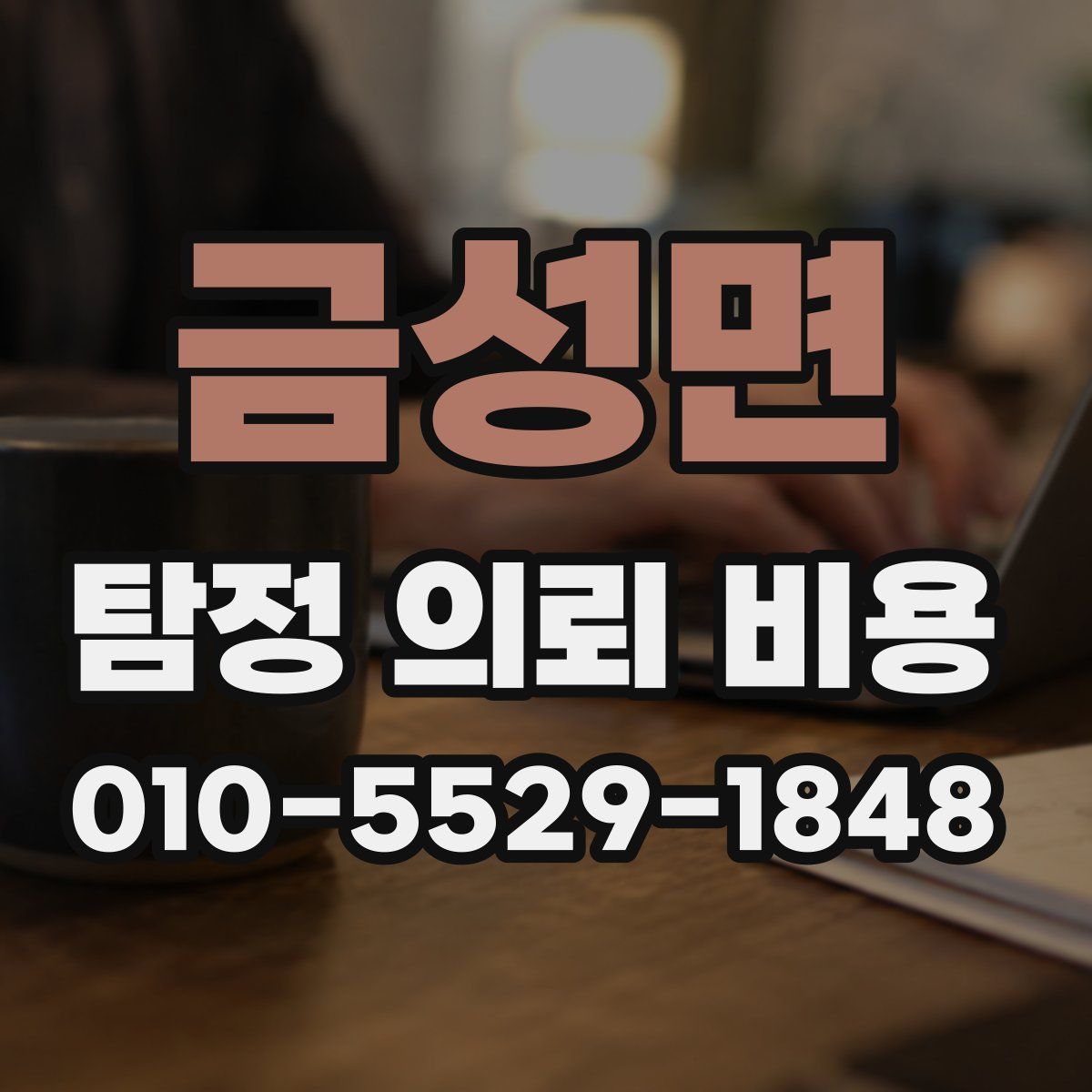 금성면 탐정 의뢰 비용
