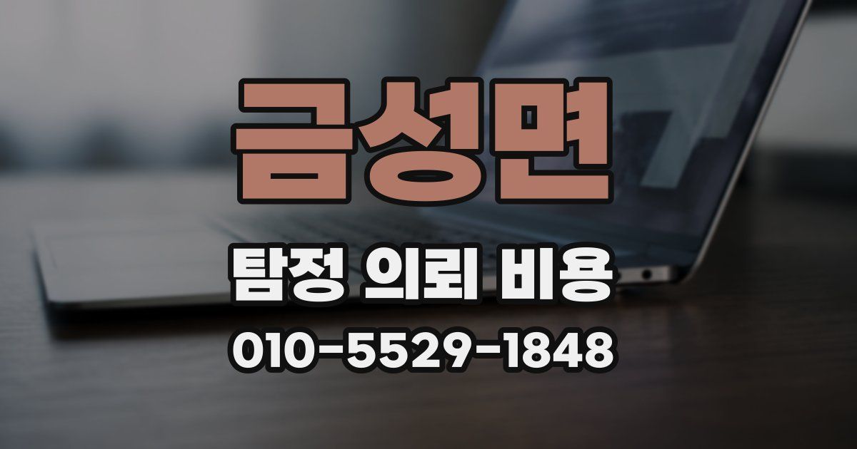 금성면 탐정 의뢰 비용