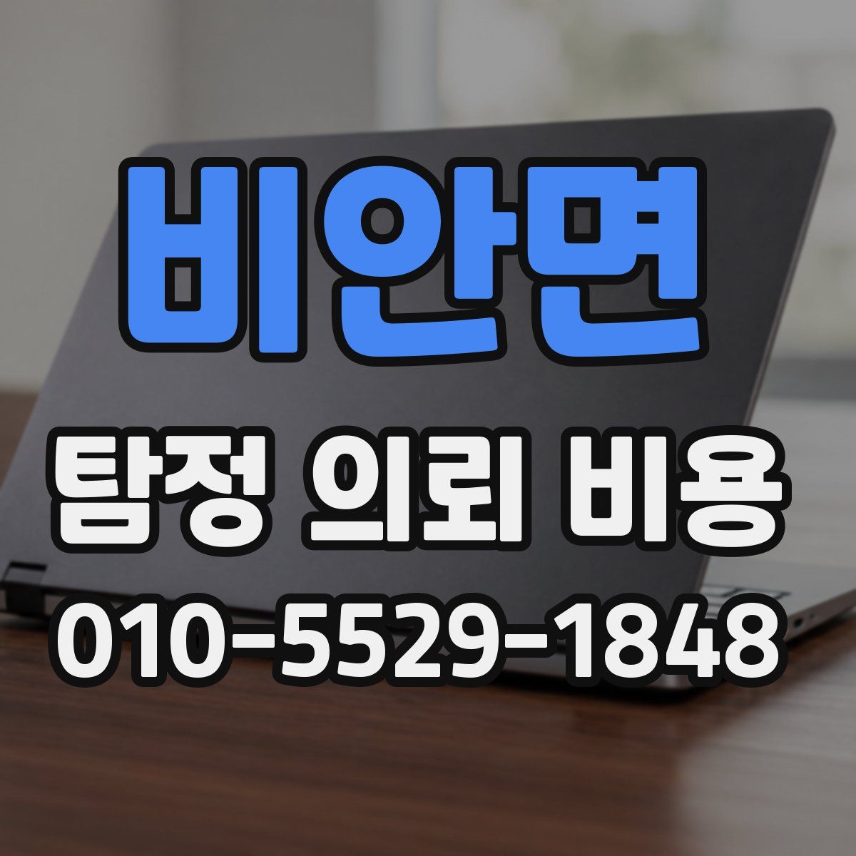 비안면 탐정 의뢰 비용