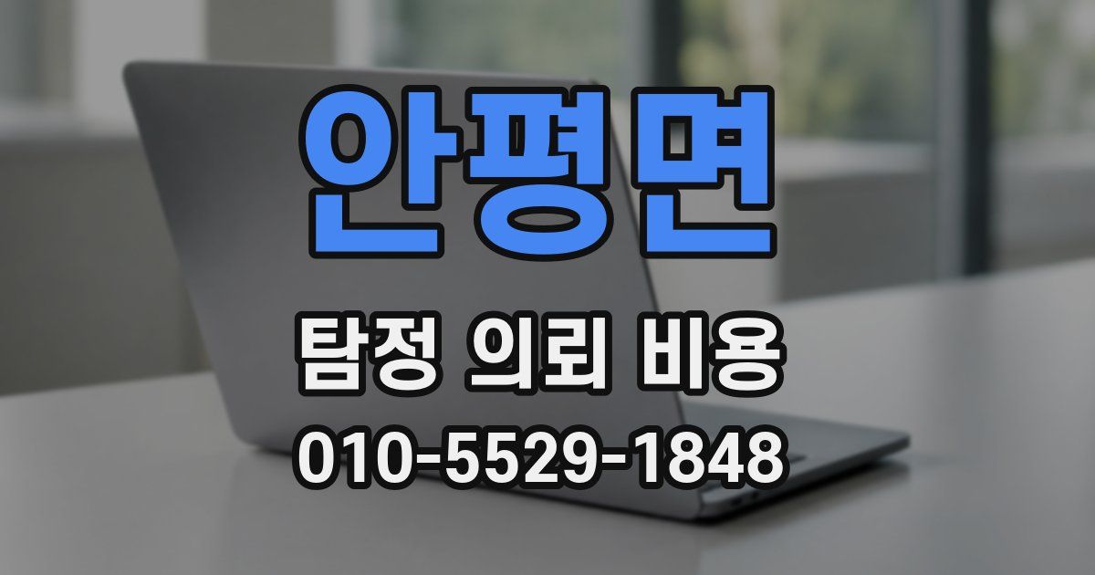 안평면 탐정 의뢰 비용