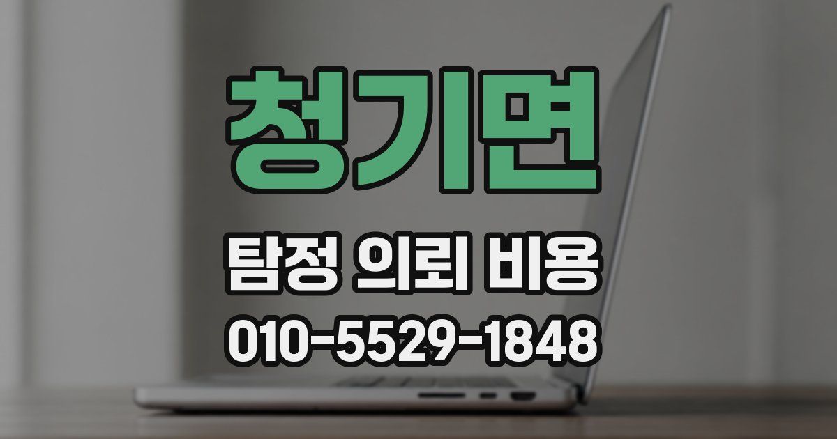 청기면 탐정 의뢰 비용