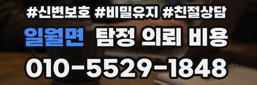 일월면 탐정 의뢰 비용