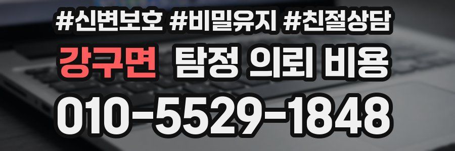 강구면 탐정 의뢰 비용
